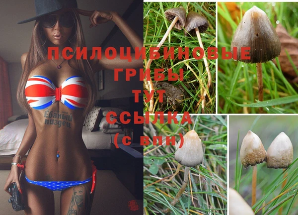 амфетамин Пересвет