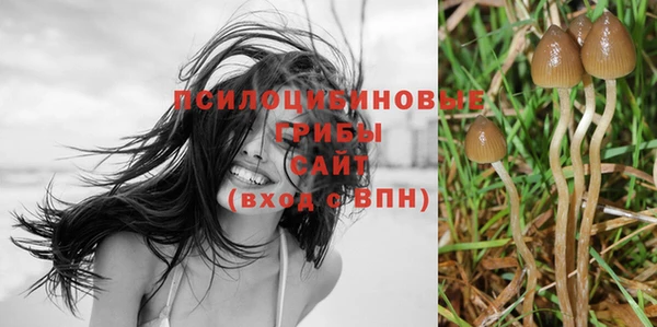 гидропоника Остров
