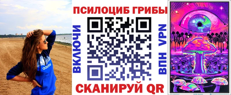купить  цена  Апатиты  Галлюциногенные грибы Magic Shrooms 