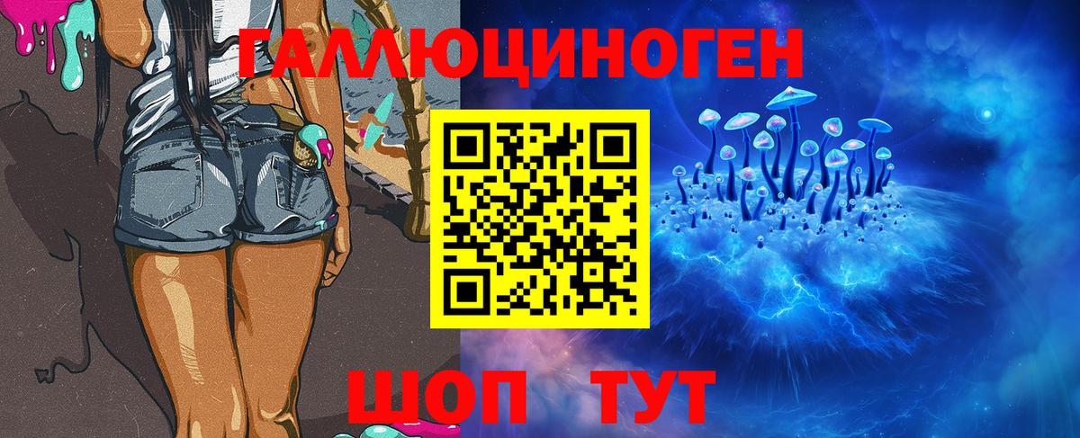 Галлюциногенные грибы мухоморы  Апатиты 